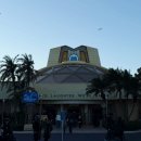 주식회사별하 | 도쿄 디즈니랜드, 오픈런 포기했는데도 성공한 유아 코스 공개