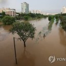 도림천 산책로4 이미지