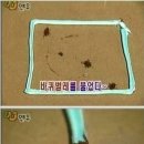 플루오린 이미지