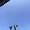 에코필라테스3호점(금릉점) | 뒤늦게 풀어보는 LA 여행 보따리