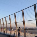 신 청동오리 | 강서 봄꽃명소 후기! 마곡 서울식물원, 김포공항 롯데몰