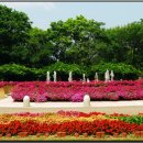 강원도립화목원 이미지