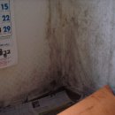 제일환경(주) 이미지