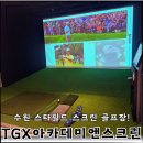 필드앤스크린골프 | 수원 스타필드 스크린 골프장TGX아카데미앤스크린 18홀 후기