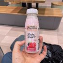 다니다니 | 산티아고 순례길 :: 파리에서 생장 가는 방법 (TGV기차 이동 후기)