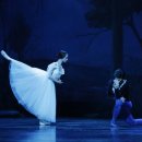 「SAC on Screen」 - 호두까기 인형 이미지