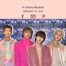 얼루어 카카오 검색결과