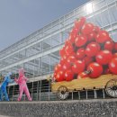 꿈꾸는 농장 이미지