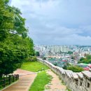 몽에덴 | 낙산공원 야경 보고 산책하기 좋았던 곳 후기