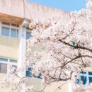 경동대부속유치원 이미지