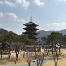 솔향 | 김천 카페솔향 후기｜사명대사공원뷰가 예술인 김천 뷰 좋은 카페 솔직리뷰 (애견동반 가능)