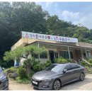 참숯으로꾸운닭 이미지