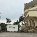 트윈브릿지 이미지