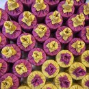 쏠티어린이집 이미지