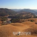 대가야투어