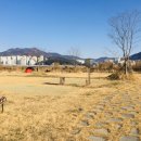 대저캠핑장 이미지