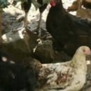 봉화산장 이미지