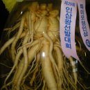 인삼전시관 이미지