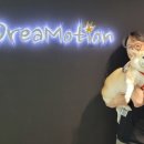 리틀퍼피 이미지