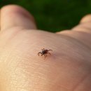 더좋은소아청소년과의원 이미지