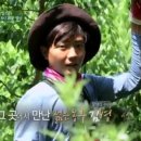 재섭농장 이미지