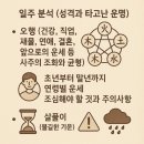 HARU | 집에서 편하게 인터넷 사주 볼수있는 HARU SAJU 하루사주 후기