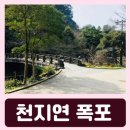 천지연무태장어천지연 | 서귀포 무태장어 서식지 천지연 폭포 입장료 주차장 소요시간 천연기념물 후기