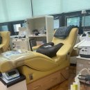 퇴계봄내 이미지