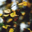 바른이치과의원 이미지