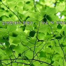 성동샤르망 오피스텔 이미지