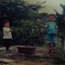 주영카페 이미지