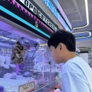 아이-뷰 안경 | 잠실 안경 리뷰안경, 갑자기 떨어진 아이 시력 때문에 안경 맞춘 후기