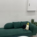 중앙로1275번길 | [일산 쁨브로우] 일산 속눈썹연장 잘하는 곳 포인트 연장 유지안 원장님 후기