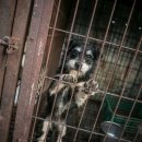 종만농장 이미지