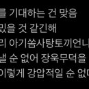 칼의부활여주