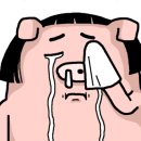 초정스파클 이미지