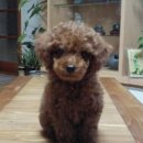 빈자리스튜디오 이미지