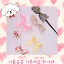 복기애견 | 애견미용사 선생님의 반려견 리본핀 만들기! 공방수업 후기
