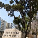 숯고개어린이공원 이미지