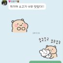 늘품정육점 | 수월식육점 / 거제 이바지음식, 한우선물세트 가격