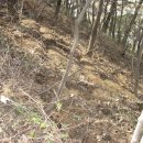 푸른솔 농장 이미지