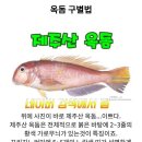 오리지널옥돔 오늘만 이가격 이미지