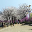 꽃동산유치원 이미지