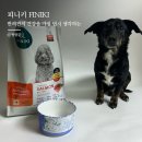 주식회사이롬 | 강아지 저알러지 사료 찾으시는 분! 피니키 가수분해 사료 연어맛 후기