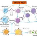 알파마취통증의학과의원 이미지
