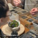 죽전초등학교 | 경기도 초등학생 체험 추천, 어린이날 용인 분당 테라리움 원데이클래스 후기