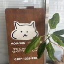 스프링 햄스터 이미지