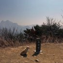 노고산 등산로 | 등린이의 노고산 등산 후기(흥국사 출발)
