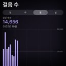 청두곶길 23 | 연휴일기