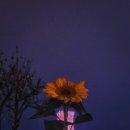 씨유경주성건봉황로점 | [경주 여행] 낭만의 도시 경주, (구)현지인의 잡도리 (여행 전 미리 알고 가면 조금 도움 될 내용 11가지)